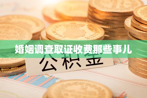 杭州婚姻调查取证收费那些事儿